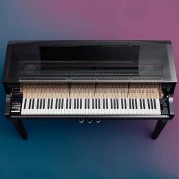 KAWAI NV10S цифровой гибридный рояль - 2 купить