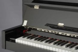 PETROF P 127NEXT Model4 (0801) пианино цвет черный, полированное - 2 купить