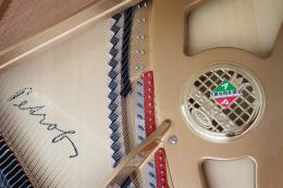 PETROF P 173 Breeze DCH (2251) рояль 173 см, цвет орех полированный - 2 купить
