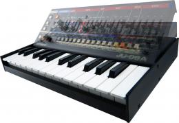 ROLAND JU-06A синтезаторный модуль - 12 купить