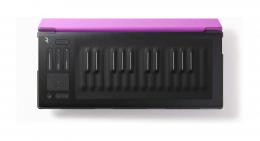 ROLI FLIPCASE LILAC защитный кейс для RISE 25  - 1 купить