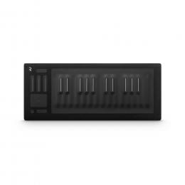 ROLI RISE 25 клавишный инструмент  - 1 купить