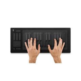 ROLI RISE 25 клавишный инструмент  - 4 купить