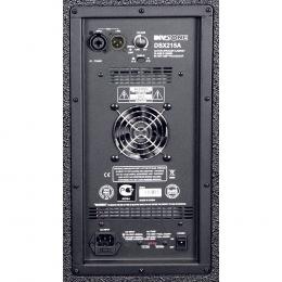 INVOTONE DSX215A активная двухполосная акустическая система 1000 Bт, класс D, 45Гц-20кГц, 133 дП - 3 купить