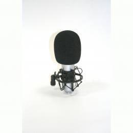 INVOTONE SM150B - студийный Pro микрофон конденсаторный, -10дП, фильтр Н„, ветрозащита, паук, кейс  - 3 купить