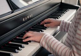 KAWAI CN301 R цифровое пианино, цвет палисандр, клавиатурная механика Responsive Hammer III, 88 клавиш - 2 купить