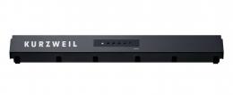 KURZWEIL KP100 LB синтезатор, 61 клавиша, полифония 128, цвет чёрный - 3 купить