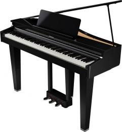 ROLAND GP-3 PE цифровой рояль, 88 клавиш, 256 полифония - 1 купить