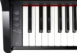 ROLAND GP-3 PE цифровой рояль, 88 клавиш, 256 полифония - 7 купить
