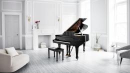 STEINWAY & SONS B-211 рояль 211 см - 2 купить