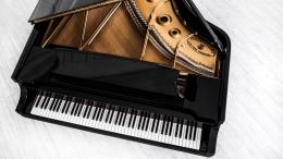 STEINWAY & SONS B-211 рояль 211 см - 3 купить