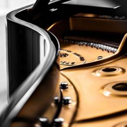 STEINWAY & SONS B-211 рояль 211 см - 5 купить