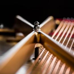 STEINWAY & SONS B-211 рояль 211 см - 6 купить