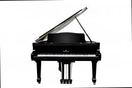YOUNG CHANG YC186E BP акустический рояль 186 см - 6 купить